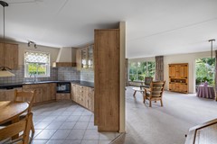 Foto Wespendief 4 Tollebeek 15.jpg